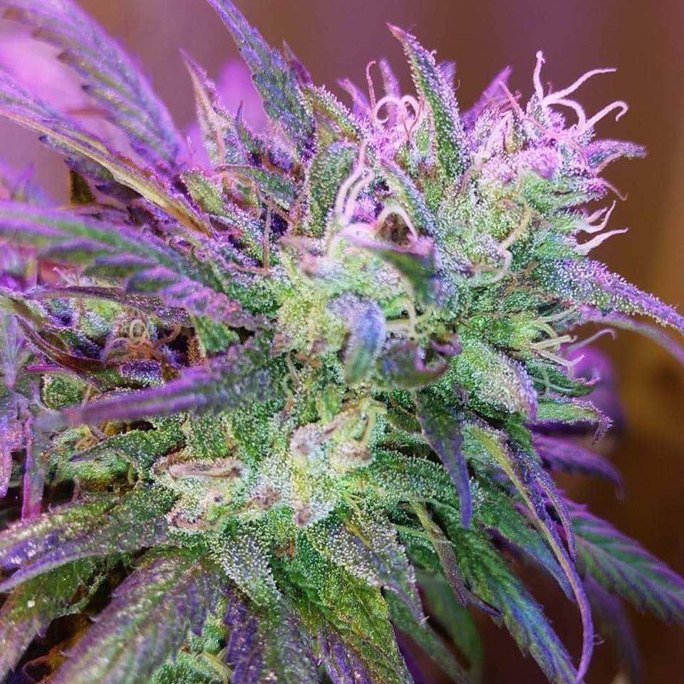 PHOTO 2025 11 20 11 45 58